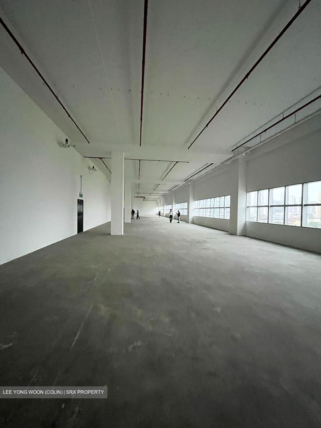 Bendemeer Road (D12), Office #412856551